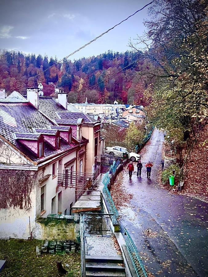 Sunny City - Apartment In Spa Zone With Private Garage カルロヴィ・ヴァリ エクステリア 写真